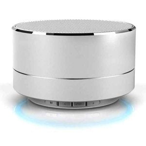 Reekin Marlin Bluetooth Speaker with Speakerphone (Silver)