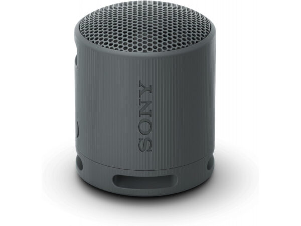 Sony SRS-XB100B BT Speaker black SRSXB100B.CE7
