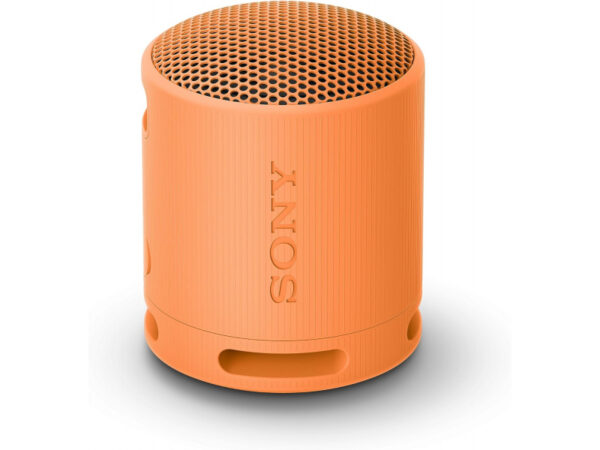 Sony SRS-XB100 Orange Speaker SRSXB100D.CE7
